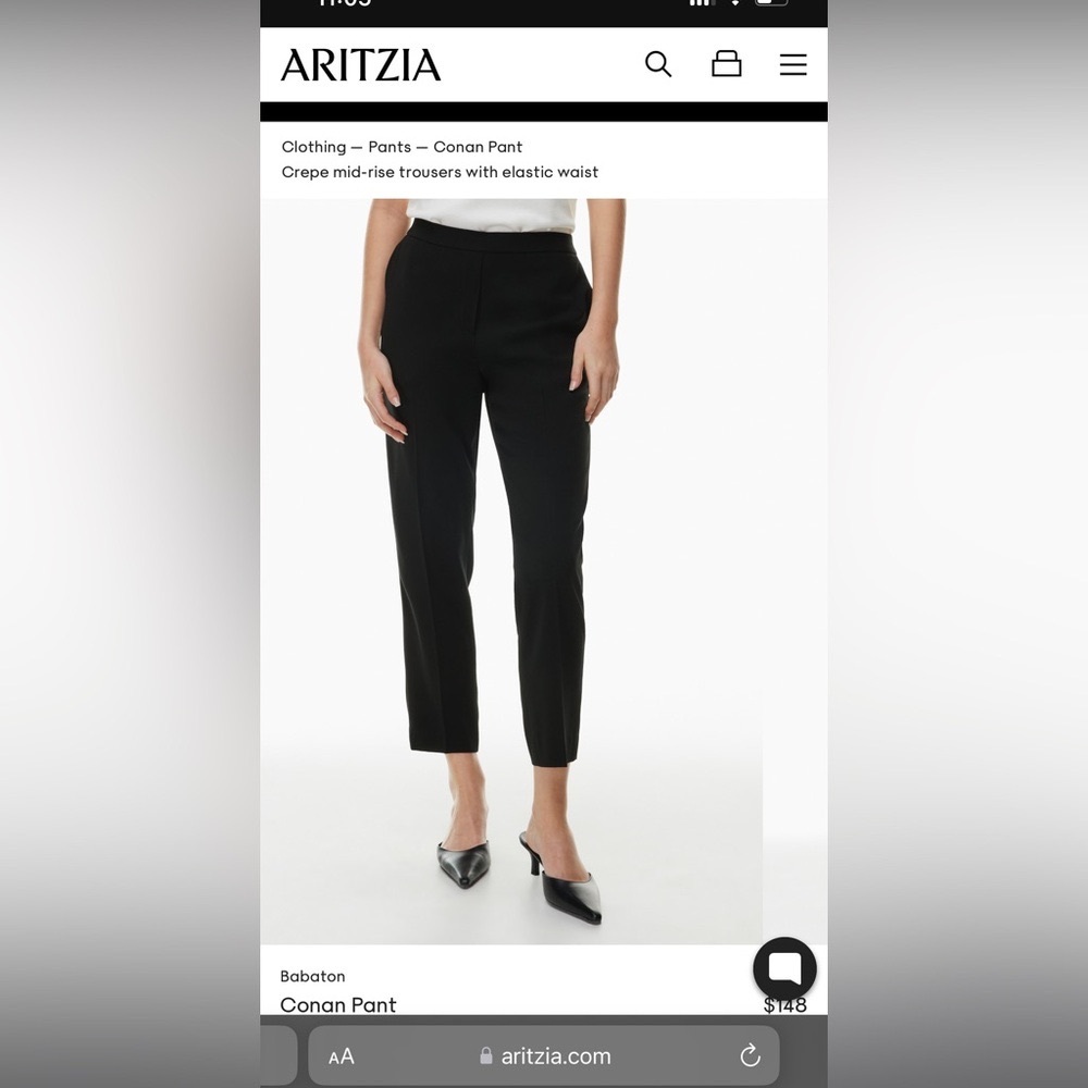 Aritzia Babaton Conan Pant